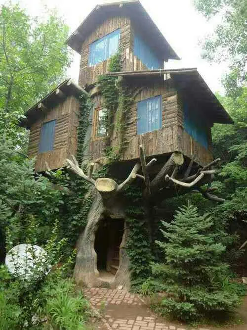 خانه درختیه زیباییه ودر دل طبیعت چه بامهارت ساخته شده