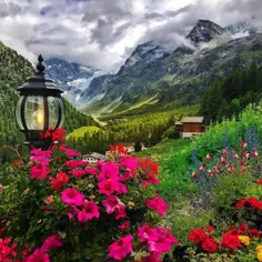 زندگی بهشت است