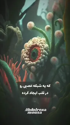 قلب:) 