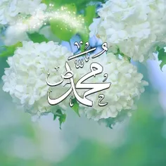 🍃🌼آغــاز میکنم صبحی پر برکت را با