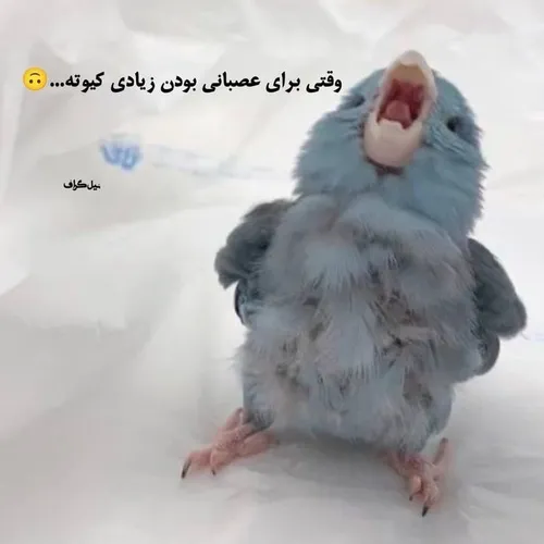 دانلود یکی از اینا 🥺😂