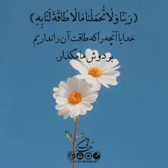 آیه گرافی🌵