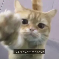 وقتی نگام میکنه قلبم:😔🛐<<<