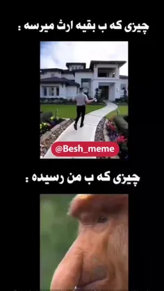 حق تا خوده قیامت