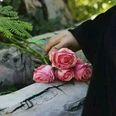 از کجا امده ای بانو