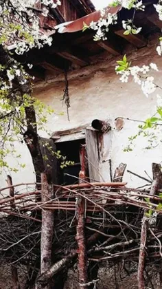 پنجره ای سنتی در روستای متکازین بهشهر .