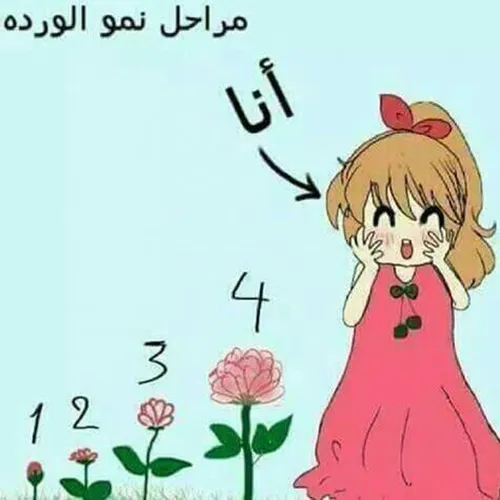 خخخخخخخخ