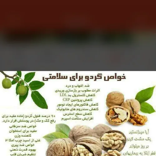 خوراکی atefeh-jamaliyan 4205839 - عکس ویسگون