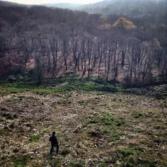 Near the Sari Jungle Park, located in Mazandaran province