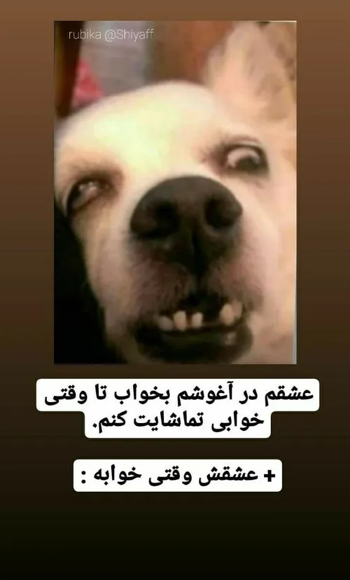 فانی مانی