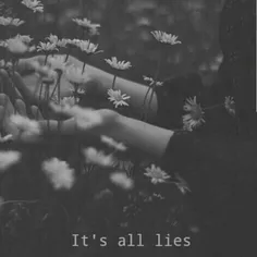 #lies