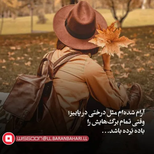 چه شبهایی