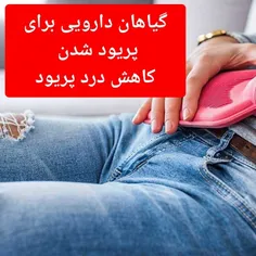 کاهش درد پریود_ گیاهان دارویی برای پریود شدن