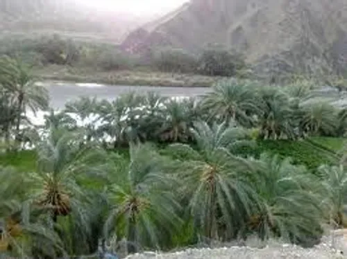 عجب طبیعتی