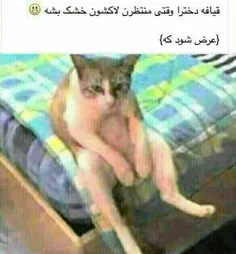 خخخخخ