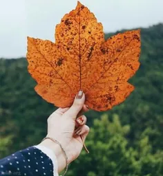 سلام من برگشتم😊 ✋