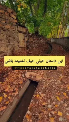 ای کاش همه روی دیگرن تاثیر بگذاریم😊😊