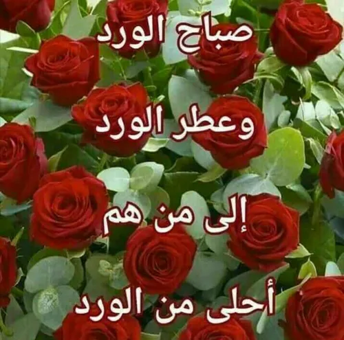 صباح الـورد🌹🌹