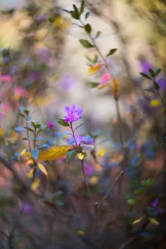 خدای من...! نمیدانم گاهی کجای دنیا گم ات میکنم؟!