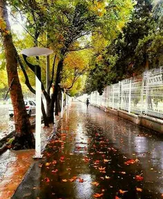 خیابان ارم #شیراز