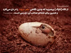 امام صادق علیه السلام :