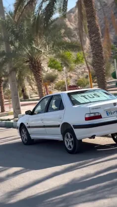 elx_peugeot_france 74099992