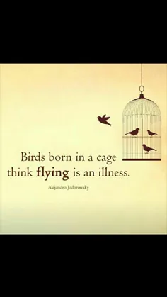 پرندگان متولد شده در قفس فکر می کنند پرواز یک بیماری است