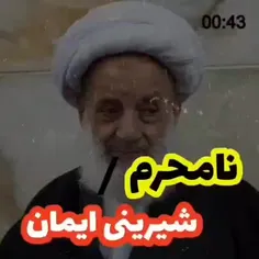 کسی که به نامحرم نگاه نکنه