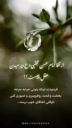 #امام_حسن 