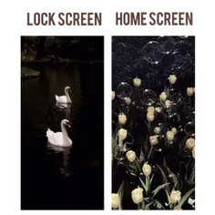 home screen and lock screen 