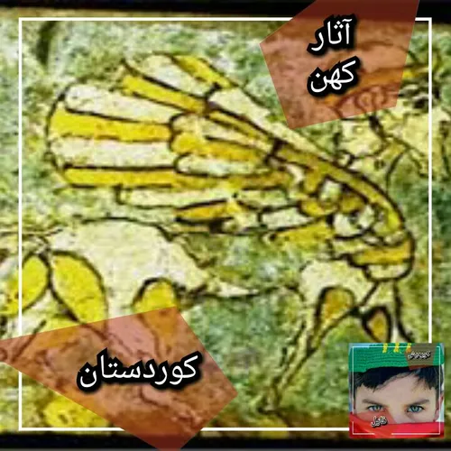 ایزیرتو