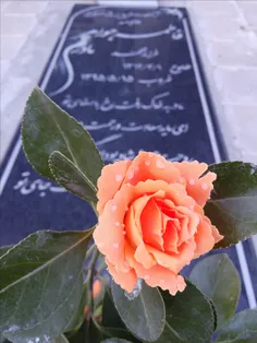 مادرکه نباشه ...😢