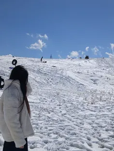 نو کپی