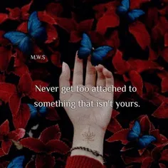 #never......!!!!♥ 💙 ❤