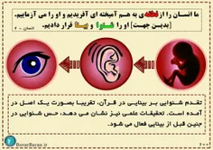 خداوند در قرآن اشاره کرده که حس شنوایی در جنین پیش از بین