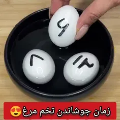 🥚قرار نبود تخم مرغم آموزش داشته باشه🤣