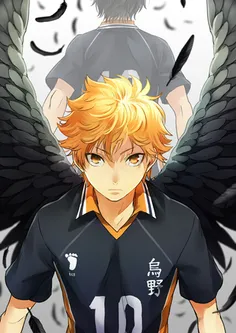 #anime #haikyu!! ~hinata