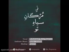 به مژگان سیه کردی هزاران رخنه در دینم ... .