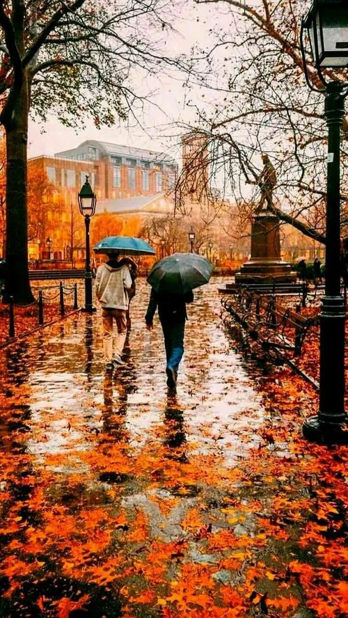 پاییز..🍁🍂🍂