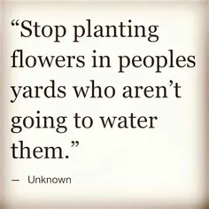 از کاشتن گل تو حیاط آدمایی که قرار نیست بهش آب بدن دست بر