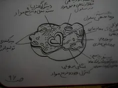 امتحان نوبت دوم 