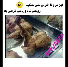 بله دیگه