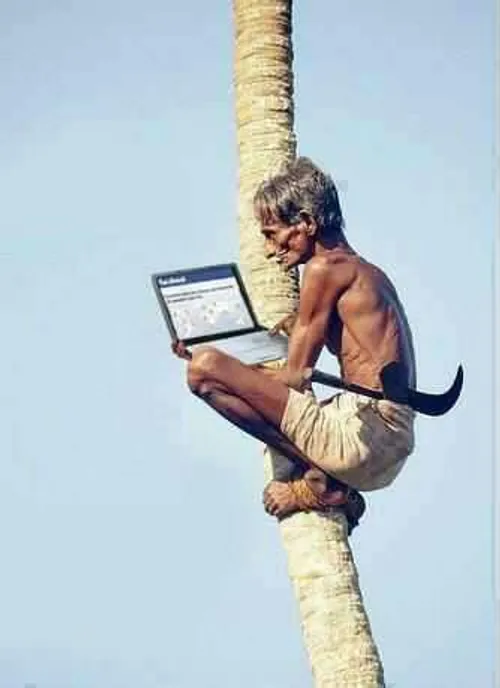 تکنولوژی همه جا هست حتی بالای درخت