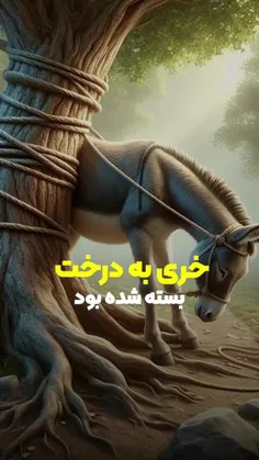 بسمه تعالی 