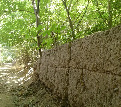 کوچه باغ.