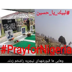 قبور شهدای جنبش اسلامی نیجریه را شخم زدند +تصاویر