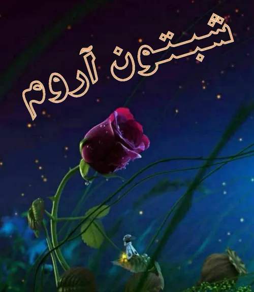 شب با تمام پیچیدگی اش