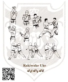 آموزش کاراته کان ذن ریو یزد محمد جواد نبی زاده