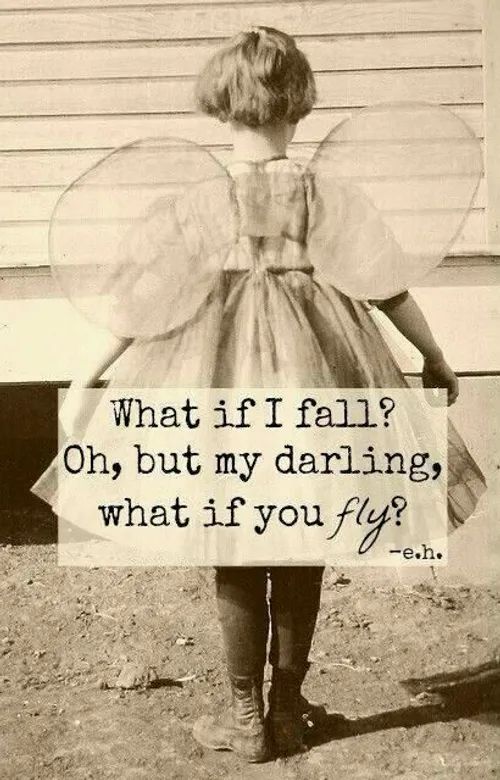 What if you fly?~