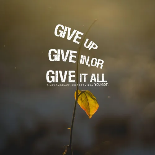Give up, give in, or give it all you got.